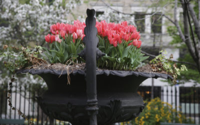 THE GRAMERCY PARK INSIDER: AUTUMN 2018 EDITION