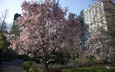 THE GRAMERCY PARK INSIDER: WINTER 2019 EDITION
