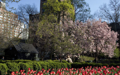 THE GRAMERCY PARK INSIDER: SPRING 2019 EDITION