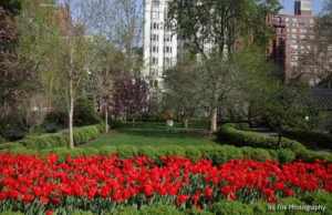 The Gramercy Park Insider